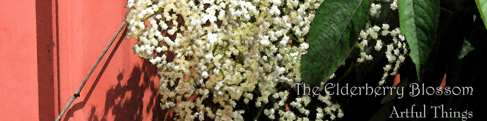 Conni Schaftenaar Official Website