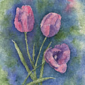 Three Pink Tulips 2