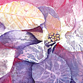 Abstract Watercolor Negative Painting Poinsettia
